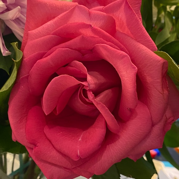 Meet your Posher, Cheryl - Picture 1 of 1